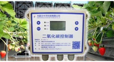 中國北方CO?新技術，將促進農(nóng)作物光合作用和光合產(chǎn)物的生成